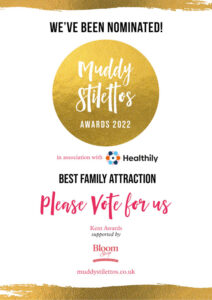 Muddy Stilettos award