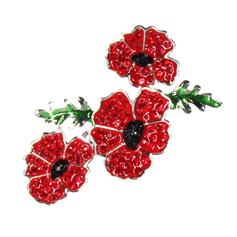 Red jewelled poppy pin brooch